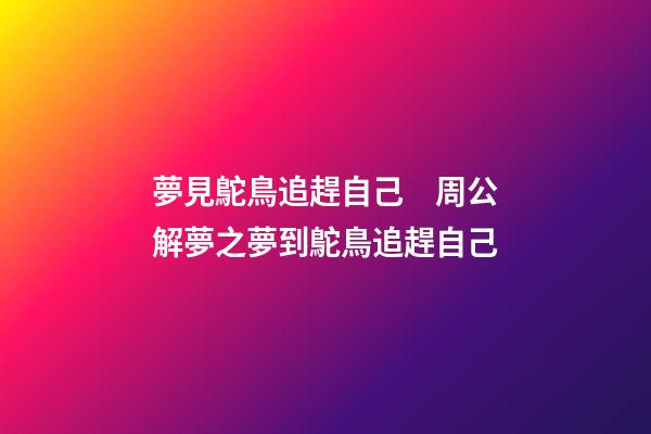 夢見鴕鳥追趕自己　周公解夢之夢到鴕鳥追趕自己